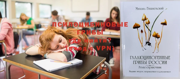 винт Армянск