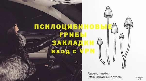 винт Армянск