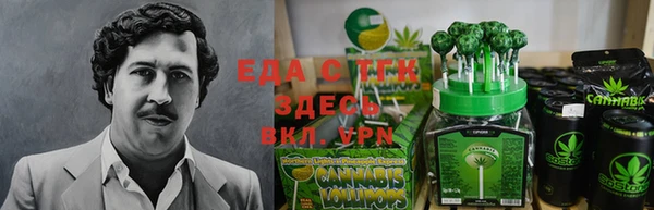 гидра Медногорск