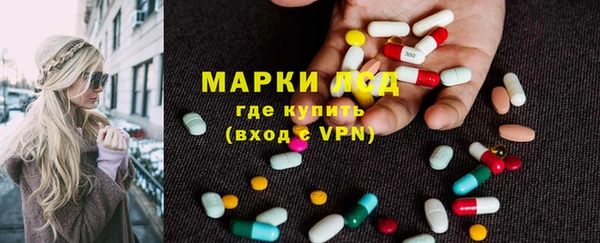 прущий лед Алзамай
