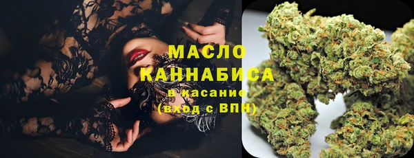 шишки Аркадак