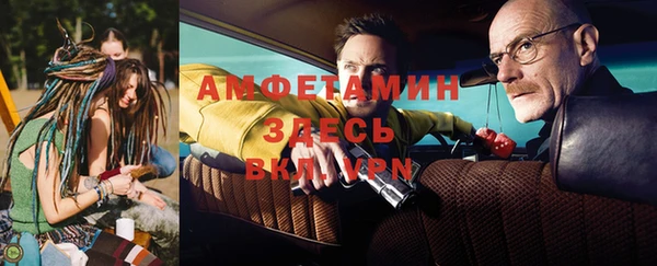 шишки Аркадак