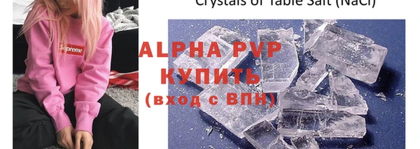 шишки Аркадак