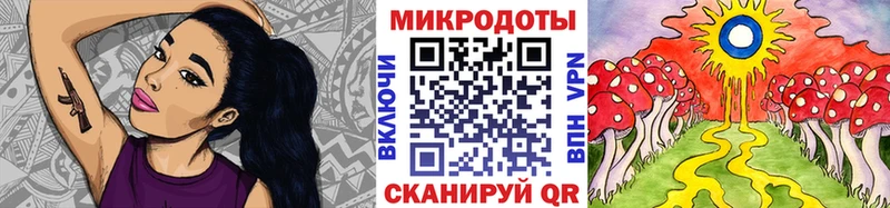 купить  цена  Чернушка  Галлюциногенные грибы Magic Shrooms 